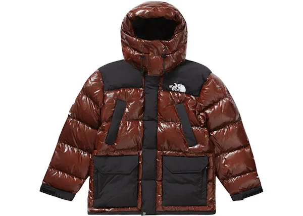 Supreme The North Face 700-Fill Down Parka Brown